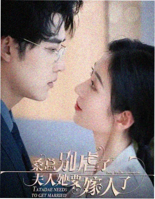 灶台之上剧集封面